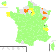 Centaurea calcitrapoides L. - carte de répartition