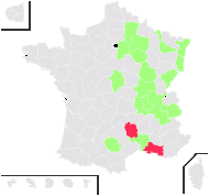 Viola elatior Fr. - carte de répartition