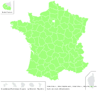 Viola hirta L. - carte de répartition