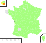 Cyanus vulgaris Delarbre - carte de répartition