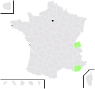 Vitis odoratissima Donn - carte de répartition