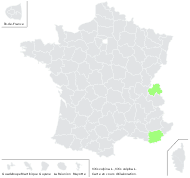 Vitis vulpina L. - carte de répartition