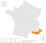 Peganum harmala L. - carte de répartition