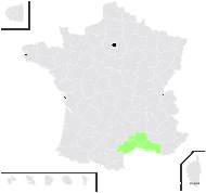 Damasonium alisma subsp. polyspermum (Coss.) Maire - carte de répartition