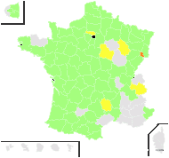 Jacea nemoralis (Jord.) Soják - carte de répartition