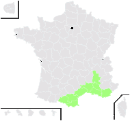 Narcissus dubius Gouan - carte de répartition