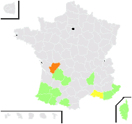 Stephanophorum luteum Dulac - carte de répartition