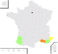 Narcissus papyraceus Ker Gawl. - carte de répartition