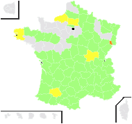 Autogenes poeticus (L.) Raf. - carte de répartition