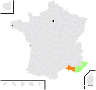 Hermione chlorotica Jord. & Fourr. - carte de répartition