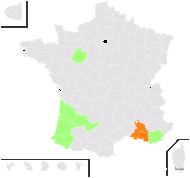 Narcissus ×odorus L. - carte de répartition