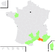 Dracunculus vulgaris Schott - carte de répartition