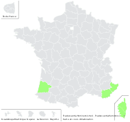 Tradescantia mundula Kunth - carte de répartition