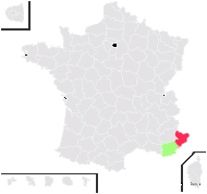 Centaurea hanryi subsp. shuttleworthii (Rouy) Kerguélen - carte de répartition