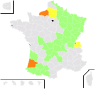 Vignea brizoides (L.) Rchb. - carte de répartition