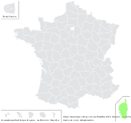Carex mabilleana (Rouy) Prain - carte de répartition