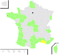 Carex punctata Gaudin - carte de répartition