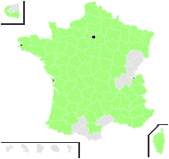 Carex muricata subsp. lumnitzeri (Rouy) Soó - carte de répartition