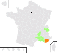 Cyperus glomeratus L. - carte de répartition