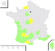 Cyperus badius Desf. - carte de répartition