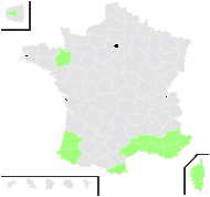 Cyperus tuberosus Roxb. - carte de répartition