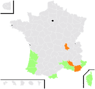 Cyperus serotinus Rottb. - carte de répartition