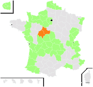 Eleocharis gracilis Hayek - carte de répartition