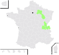 Schoenus ×intermedius Brügger - carte de répartition