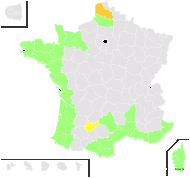 Scirpus savii var. gracillimus (Kohts) Rouy - carte de répartition