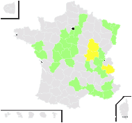 Isolepis proxima Steud. - carte de répartition