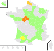 Vallisneria nana R.Br. - carte de répartition