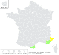 Gladiolus dubius Guss. - carte de répartition
