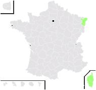 Romulea ligustica Parl. - carte de répartition