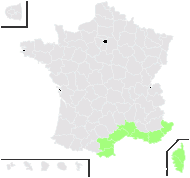 Romulea ramiflora Ten. - carte de répartition