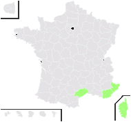 Romulea rollii Parl. - carte de répartition