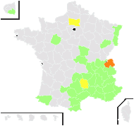 Cyanus paniculatus (L.) Moench - carte de répartition