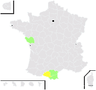 Juncus pyrenaeus Timb.-Lagr. & Jeanb. - carte de répartition