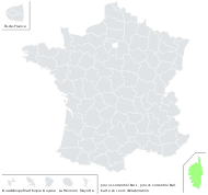Juncus sorrentinii Parl. - carte de répartition