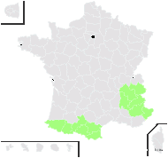 Luzula pediformis (Chaix) DC. - carte de répartition