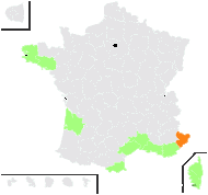 Triglochin barrelieri Loisel. - carte de répartition