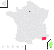 Triglochin laxiflora Guss. - carte de répartition