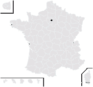 Lemna aequinoctialis Welw. - carte de répartition