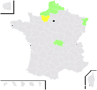 Lemna turionifera Landolt - carte de répartition