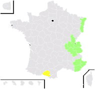 Allium coloratum Spreng. - carte de répartition