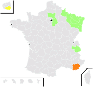 Centaurea stoebe L. - carte de répartition