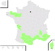 Allium inodorum Aiton - carte de répartition