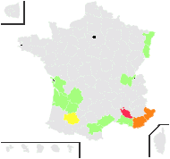 Allium nigrum L. - carte de répartition