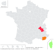 Asparagus albus L. - carte de répartition