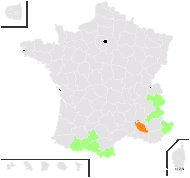 Asphodelus pyrenaicus Jord. - carte de répartition