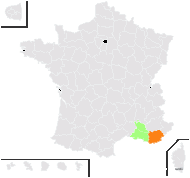 Asphodelus ayardii Jahand. & Maire - carte de répartition